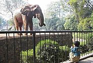 Wuhan Zoo
