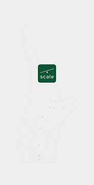 Website at https://gogetscale.co/