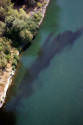Willamette River Complaint Settled | eugeneweekly.com