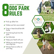 Here are 8 Dog Park Rules To Follow