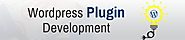 WordPress Plugin Customization Services