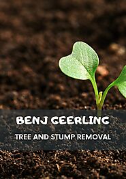 PPT - Benj Geerling - Tree and Stump Removal PowerPoint Presentation, free download - ID:11407218