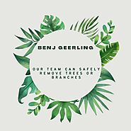 Benj Geerling - Our Team can Safely Remove Trees or Branches