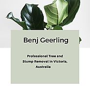 PPT - Benj Geerling - Professional Tree and Stump Removal In Victoria, Australia PowerPoint Presentation - ID:11499194