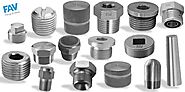 Pipe Plugs - Stainless Steel Manufacturer and Exporters.