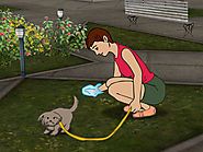 How to Pick Up Dog Poop
