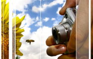 Fotofilm חנות צילום - מצלמות דיגיטליות - כרטיסי זיכרון - עדשות - תיקי צילום - פיתוח תמונות - יד שניה
