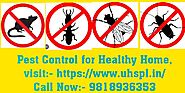 Effective Pest Control Services in Delhi NCR