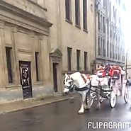 We still have Horses and Carriages at the Old Port of Montreal