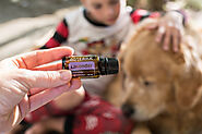 11 Ways I Use Lavender Oil For My Family - Essential Oils With Betsy