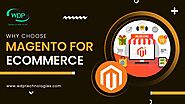 Why Choose Magento For Ecommerce - WDP Technologies