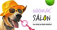 Shop Online Tug Toys for Dogs at Noomak Salon Store