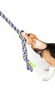 Shop Tug Toys for Dogs at Best Pet Friendly Store
