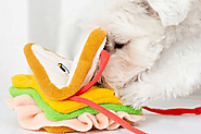 Snuffle Mats for Dogs to Keep Them Busy