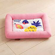 Stylish Best Dog Bed For Chewers