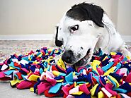 Get the Best Snuffle Toys for Dogs, Tug Toys, Self Cooling Dog Mats and Many More at Noomak Salon Store