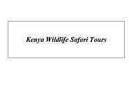 Kenya Wildlife Safari Tours