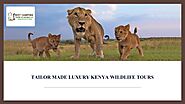 Luxury Kenya Wildlife Tours packages by campingkenya - Issuu