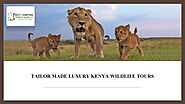 Luxury Kenya Wildlife Tours Packages