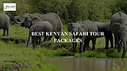 Kenya Safari Packages