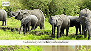 Kenya Safaris