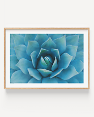 Buy This Beautiful Piece Of Agave Blue Wall Art - The Arte