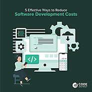 5 Effective Ways to Reduce Software Development Costs - Code District