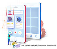 Cross Platform Mobile App Development Services: Sphinx Solution