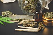Untitled — CBD Oil: Is It Practical For Psychological...