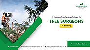PPT – 3 Common Tree Services Offered By Tree Surgeons In Bromley PowerPoint presentation | free to download - id: 950...