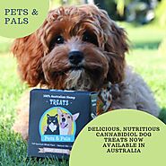 Delicious, Nutritious Cannabidiol Dog Treats Now Available in Australia
