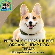 Pet & Pals offers the best organic hemp dog treats.