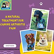 A Natural Treatment for Canine Arthritis Pain