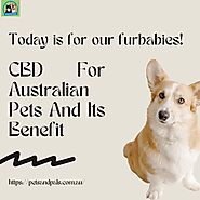 CBD For Australian Pets And Its Benefit