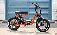 M-66 CRUISER LONG PADDED SEAT EBIKES FOR TWO PERSONS