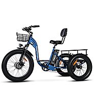 M-340 Electric Fat Trike