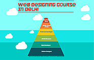 Web Design Course In Delhi Infographic Template