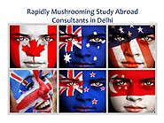 Rapidly Mushrooming Study Abroad Consultants in Delhi