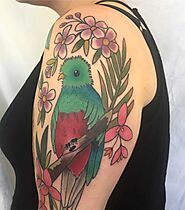 Quetzal Tattoo Ideas And Unique Bird Designs For Inspiration