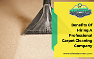 5 Benefits Of Hiring A Professional Carpet Cleaning Company