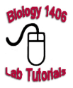 Biology I Tutorials