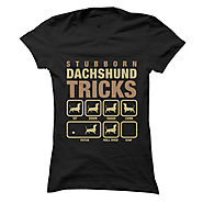 Are You A Dachshund Lover?