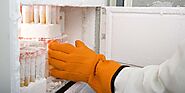How to Buy the Best Medical & Lab Freezer