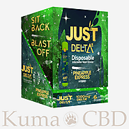 Buy Delta 8 Disposable Cartridge 1000mg Zkittlez | Kuma Organics