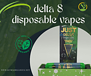 Best Delta 8 Disposable Cartridge In 1000mg Zkittlez | Kuma Organics