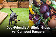 Solve Compost Issues with Dog-Friendly Artificial Grass in Boise, Idaho