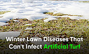 Devastating Winter Turf Diseases Can't Infect Artificial Turf in Boise: Here's Why