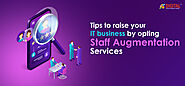 Tips to raise your IT business by opting for IT Staff Augmentation Services