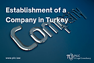 Company Establishment in Turkey