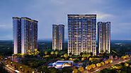 Paras Dews Dwarka Expressway | Paras Dews in Sector 106, Gurgaon